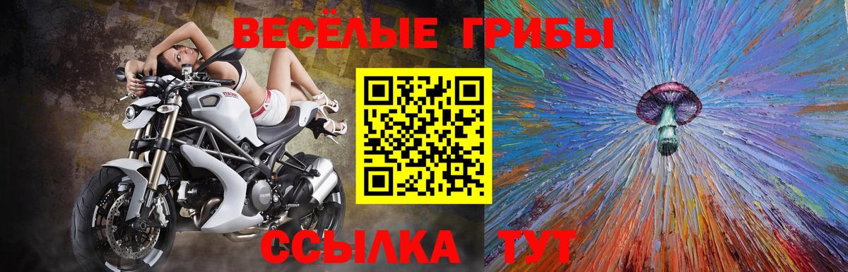 Галлюциногенные грибы мицелий  Вход с VPN  Можга  Галлюциногенные грибы мицелий 
