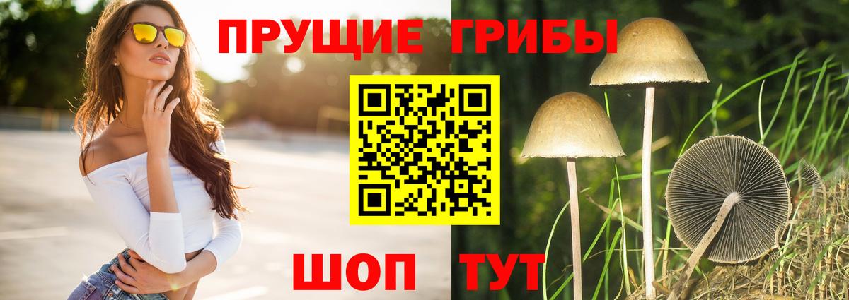 Псилоцибиновые грибы ЛСД Можга